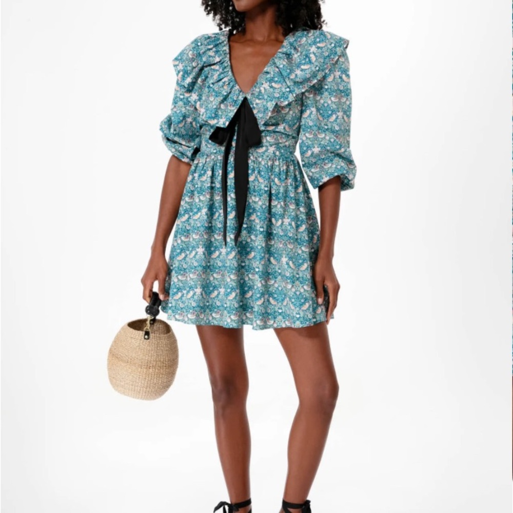 Bird song dress with bow